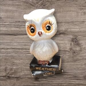 Enesco Vintage 1975 70s "Weather Owl" Figurine on Books